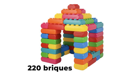 Pack 220 briques géantes